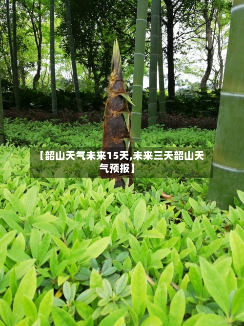 【韶山天气未来15天,未来三天韶山天气预报】