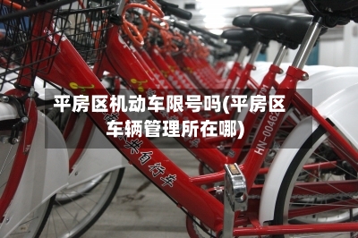 平房区机动车限号吗(平房区车辆管理所在哪)