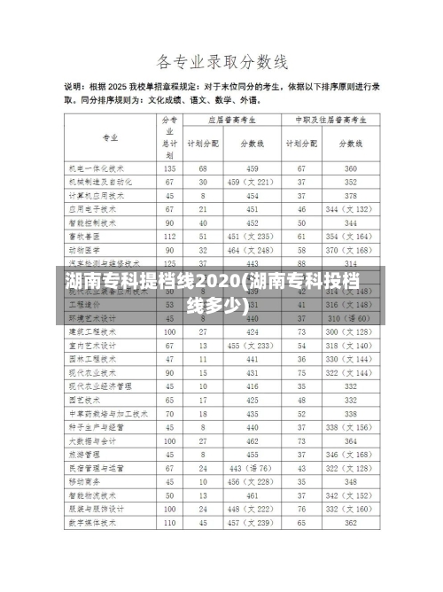 湖南专科提档线2020(湖南专科投档线多少)