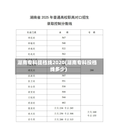 湖南专科提档线2020(湖南专科投档线多少)