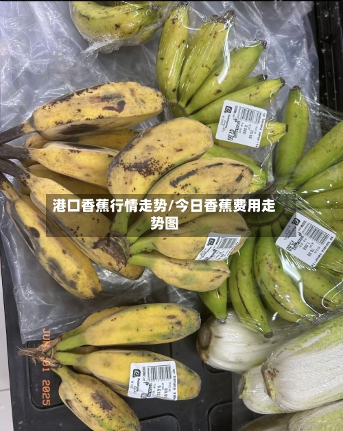 港口香蕉行情走势/今日香蕉费用走势图