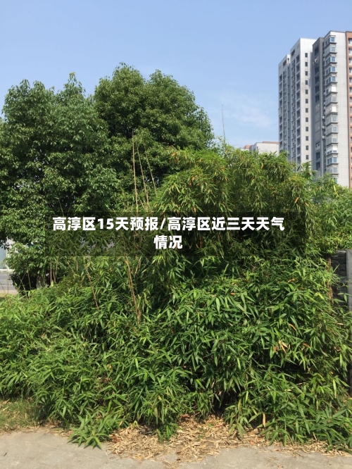 高淳区15天预报/高淳区近三天天气情况