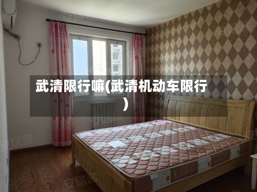 武清限行嘛(武清机动车限行)