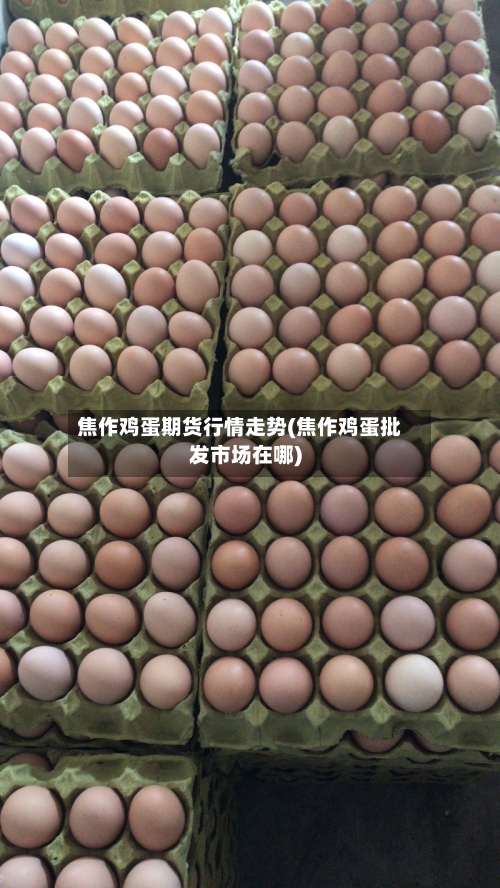 焦作鸡蛋期货行情走势(焦作鸡蛋批发市场在哪)
