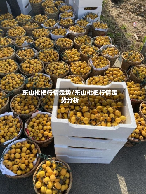 东山枇杷行情走势/东山枇杷行情走势分析