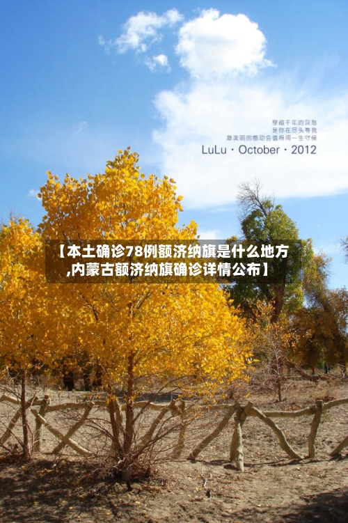 【本土确诊78例额济纳旗是什么地方,内蒙古额济纳旗确诊详情公布】