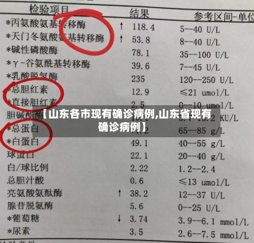【山东各市现有确诊病例,山东省现有确诊病例】
