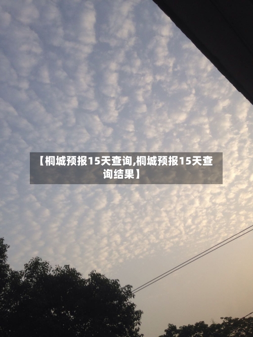 【桐城预报15天查询,桐城预报15天查询结果】