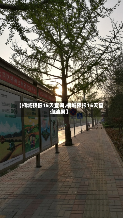 【桐城预报15天查询,桐城预报15天查询结果】