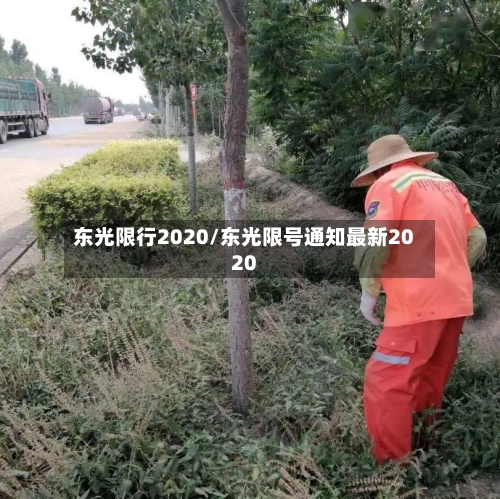 东光限行2020/东光限号通知最新2020