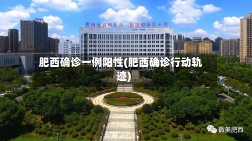 肥西确诊一例阳性(肥西确诊行动轨迹)