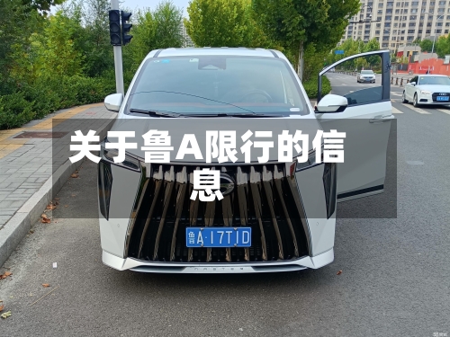 关于鲁A限行的信息
