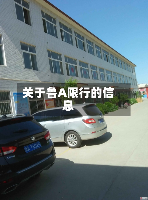 关于鲁A限行的信息