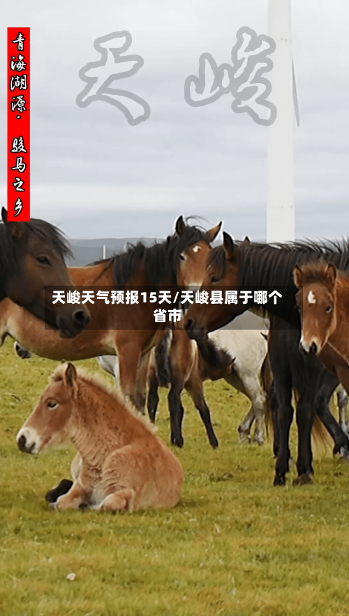 天峻天气预报15天/天峻县属于哪个省市