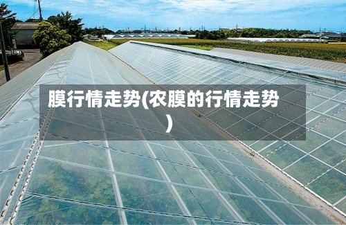 膜行情走势(农膜的行情走势)