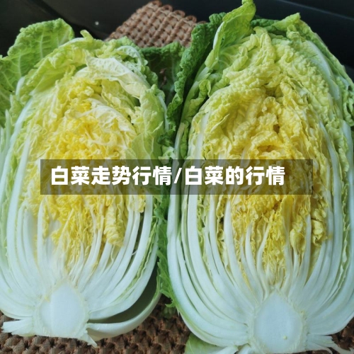 白菜走势行情/白菜的行情