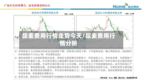 尿素费用行情走势今天/尿素费用行情分析