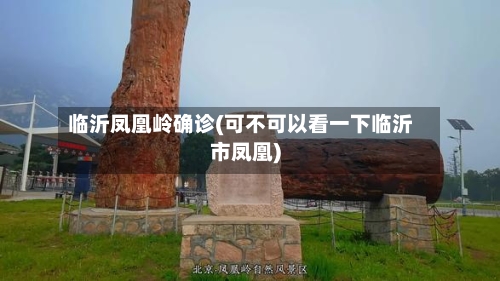 临沂凤凰岭确诊(可不可以看一下临沂市凤凰)