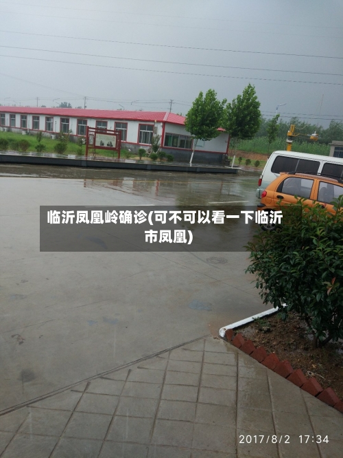 临沂凤凰岭确诊(可不可以看一下临沂市凤凰)