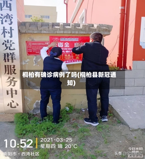 桐柏有确诊病例了吗(桐柏县新冠通知)