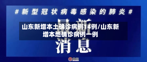 山东新增本土确诊病例14例/山东新增本地确诊病例一例