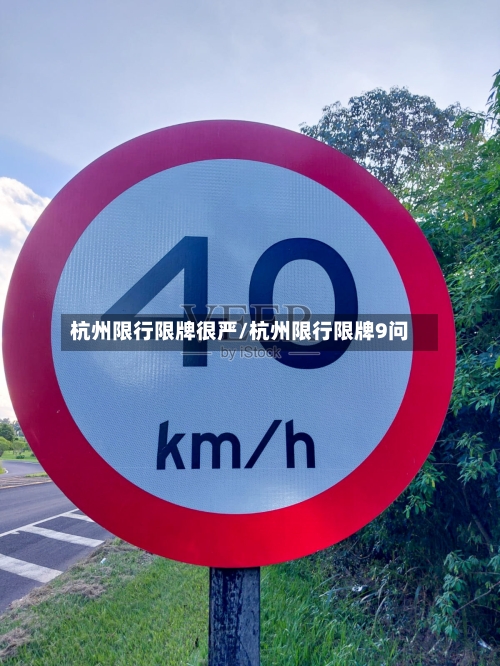杭州限行限牌很严/杭州限行限牌9问