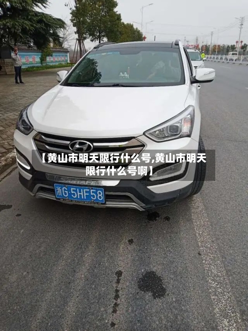 【黄山市明天限行什么号,黄山市明天限行什么号啊】