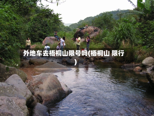 外地车去梧桐山限号吗(梧桐山 限行)