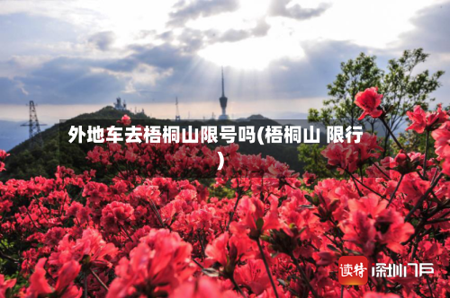 外地车去梧桐山限号吗(梧桐山 限行)