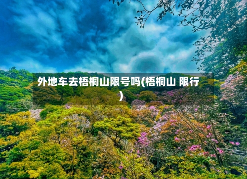 外地车去梧桐山限号吗(梧桐山 限行)