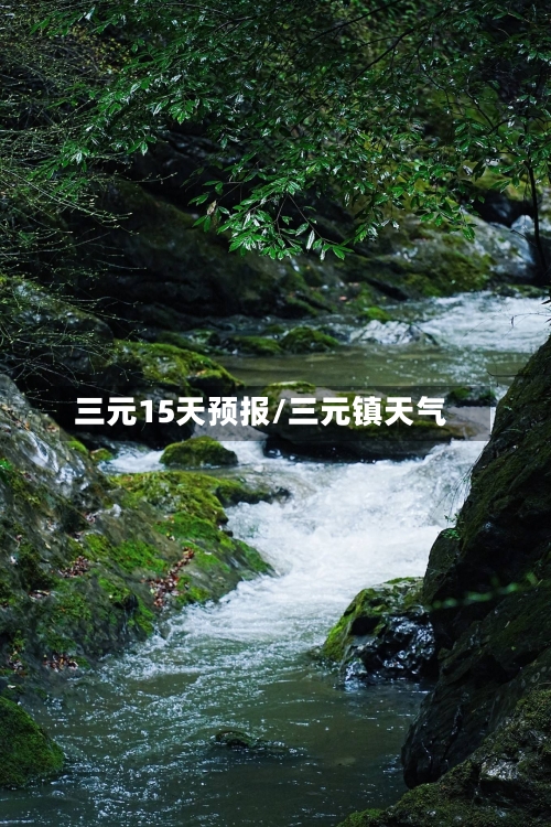 三元15天预报/三元镇天气