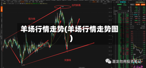 羊场行情走势(羊场行情走势图)
