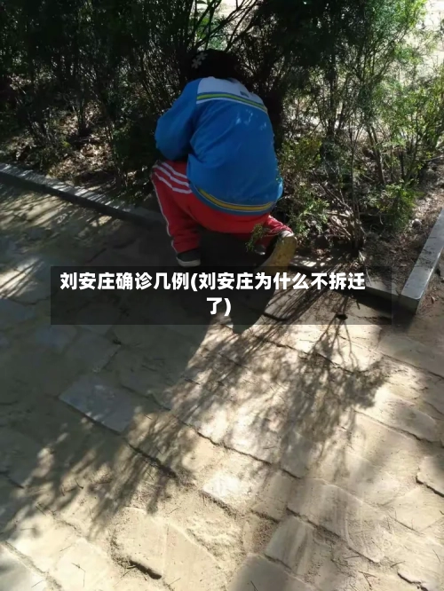 刘安庄确诊几例(刘安庄为什么不拆迁了)