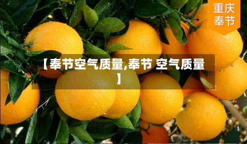 【奉节空气质量,奉节 空气质量】