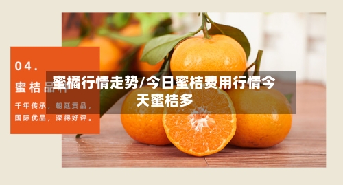 蜜橘行情走势/今日蜜桔费用行情今天蜜桔多