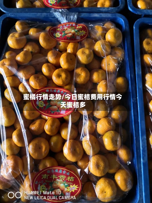 蜜橘行情走势/今日蜜桔费用行情今天蜜桔多