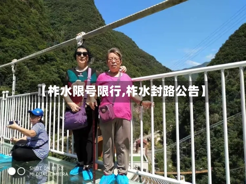 【柞水限号限行,柞水封路公告】