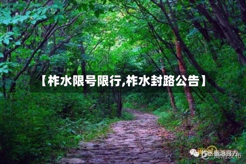 【柞水限号限行,柞水封路公告】