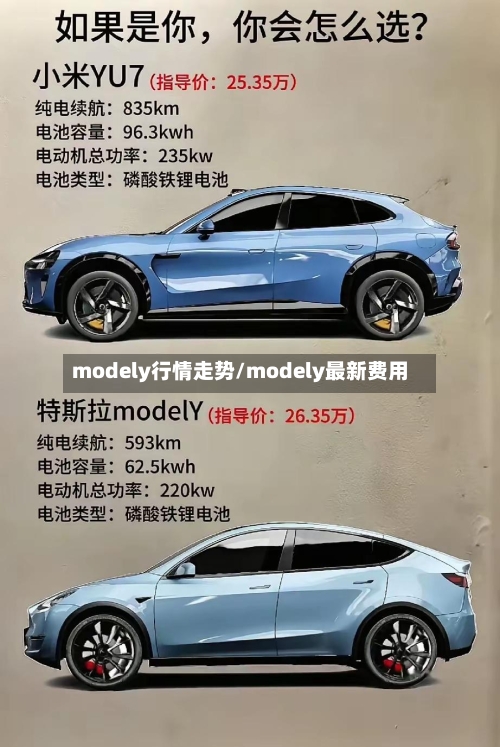 modely行情走势/modely最新费用