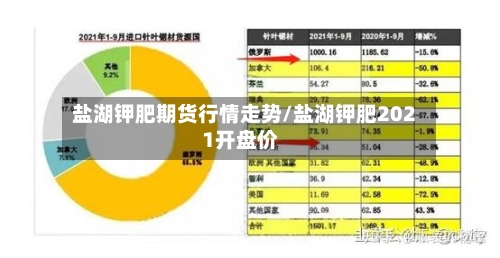 盐湖钾肥期货行情走势/盐湖钾肥2021开盘价