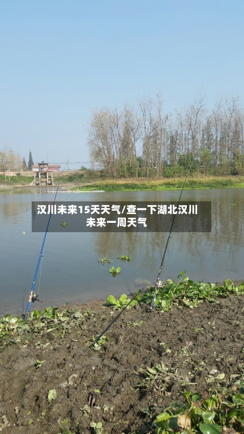 汉川未来15天天气/查一下湖北汉川未来一周天气