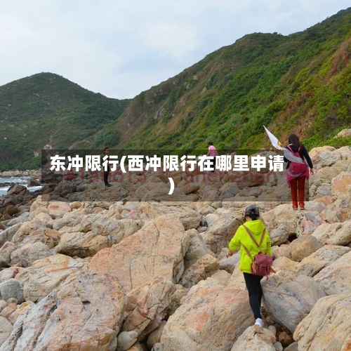 东冲限行(西冲限行在哪里申请)