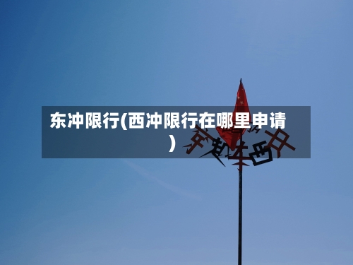 东冲限行(西冲限行在哪里申请)