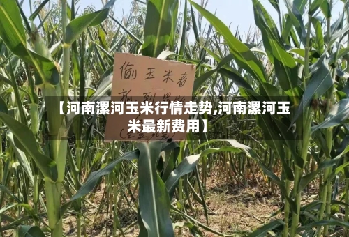 【河南漯河玉米行情走势,河南漯河玉米最新费用】