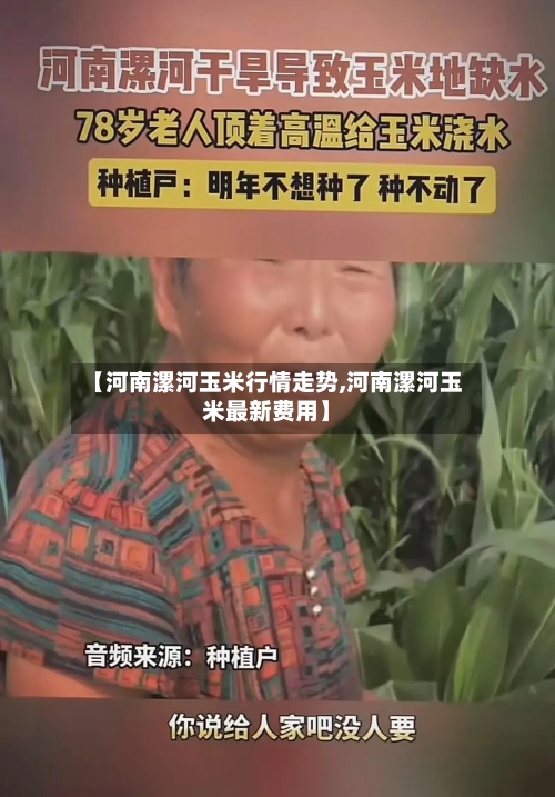 【河南漯河玉米行情走势,河南漯河玉米最新费用】