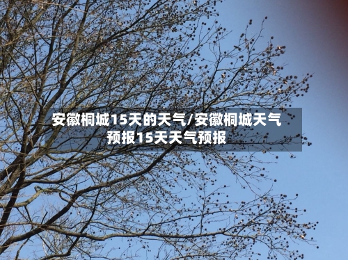 安徽桐城15天的天气/安徽桐城天气预报15天天气预报