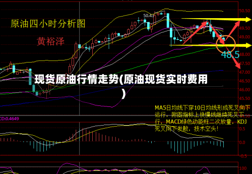现货原油行情走势(原油现货实时费用)