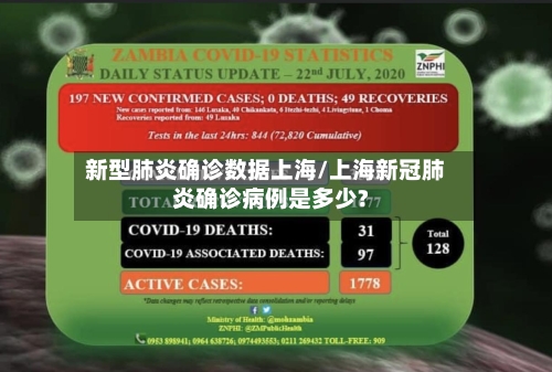 新型肺炎确诊数据上海/上海新冠肺炎确诊病例是多少?