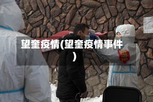 望奎疫情(望奎疫情事件)
