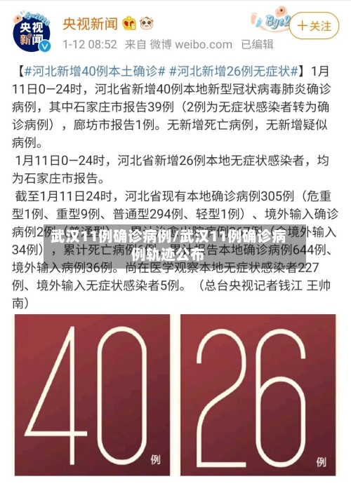 武汉11例确诊病例/武汉11例确诊病例轨迹公布